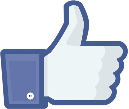 Facebook Review Icon